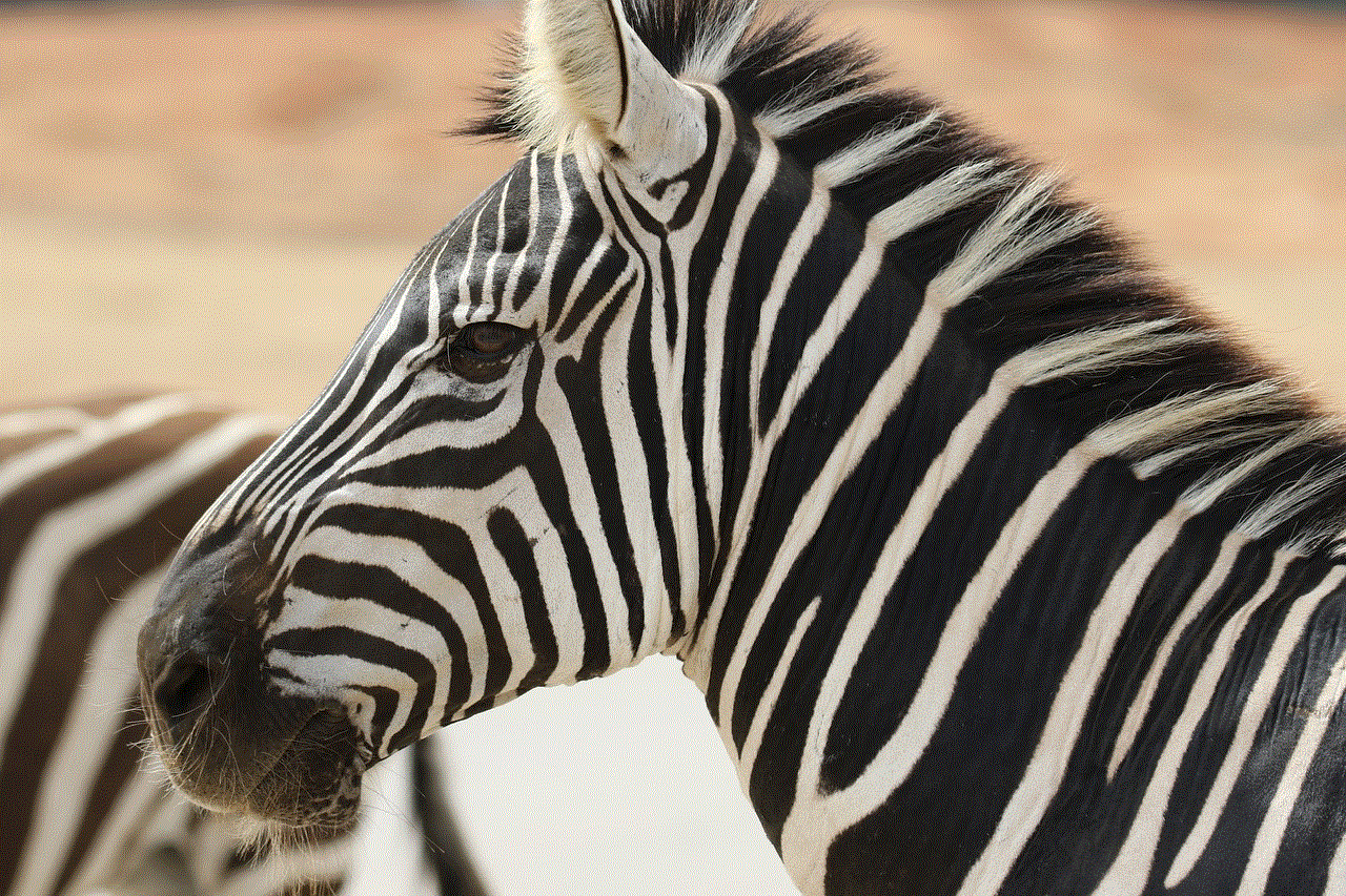 Zebra Stripes