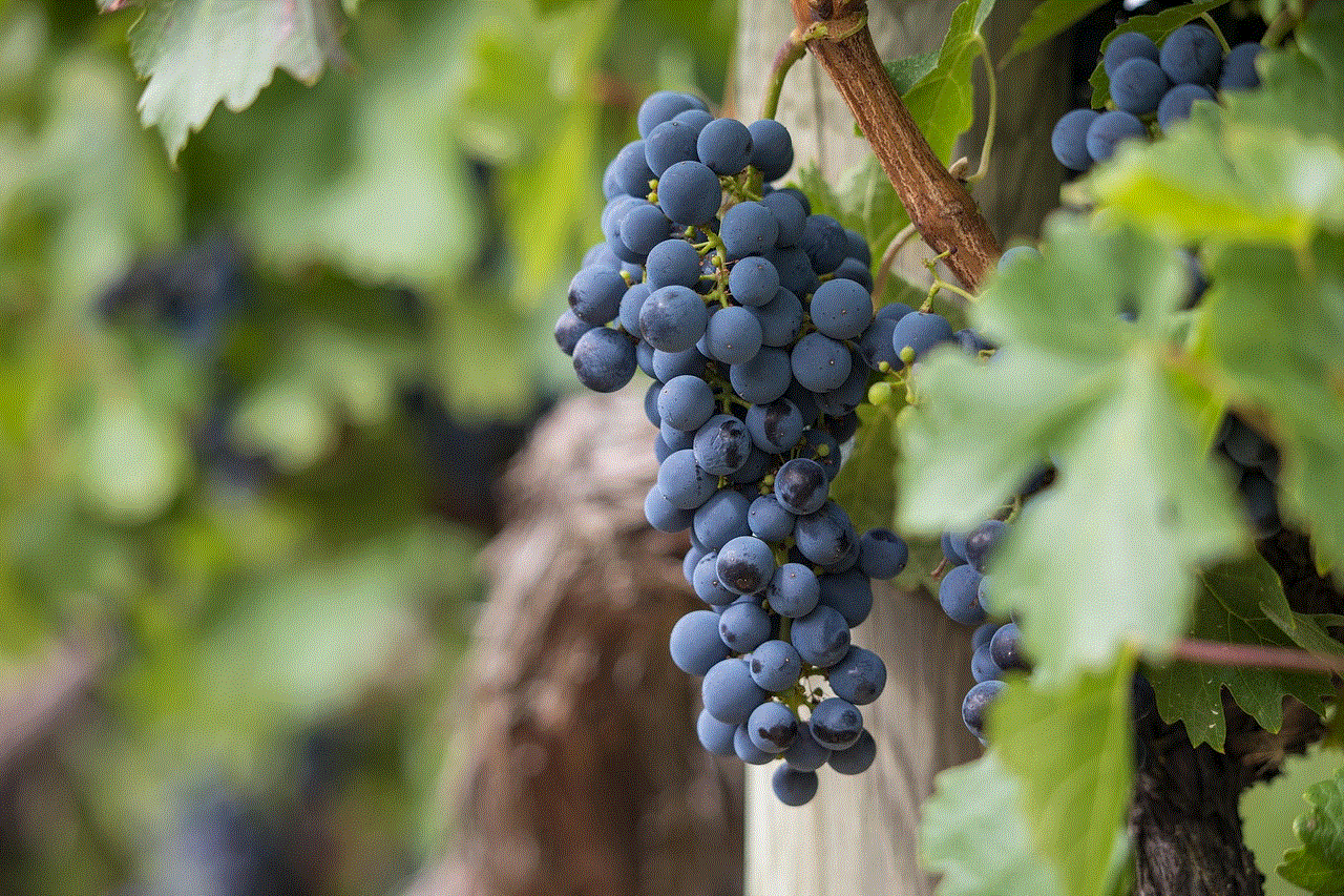 Grapes Grapevines