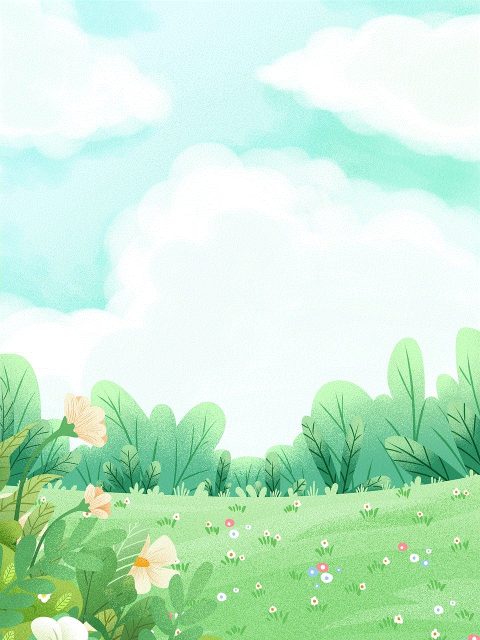 Flowers Plants Flowers Plants