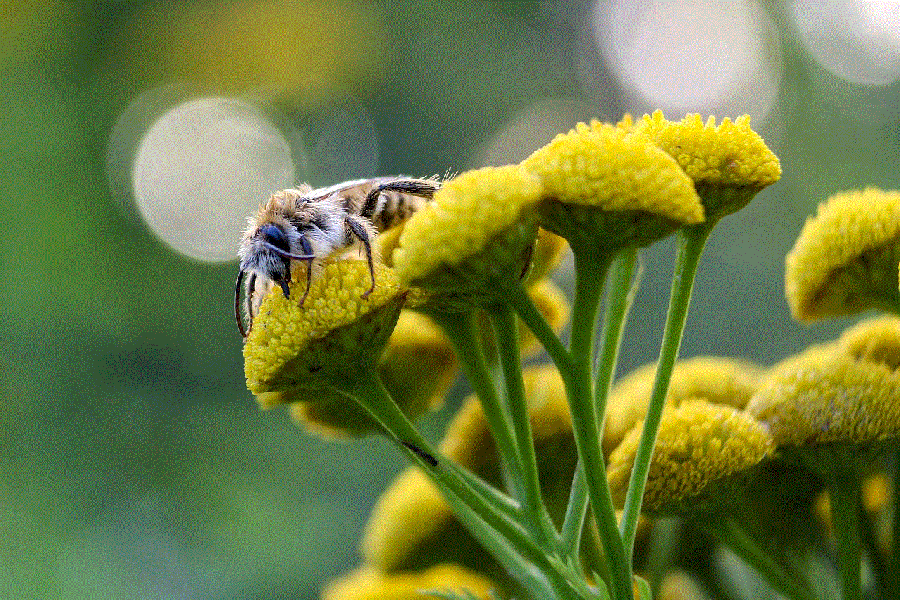 Flowers Bee