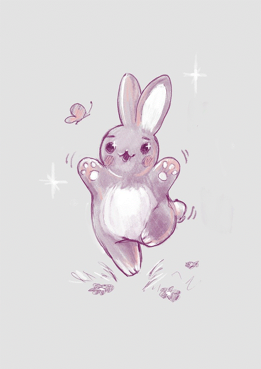 Rabbit Bunny