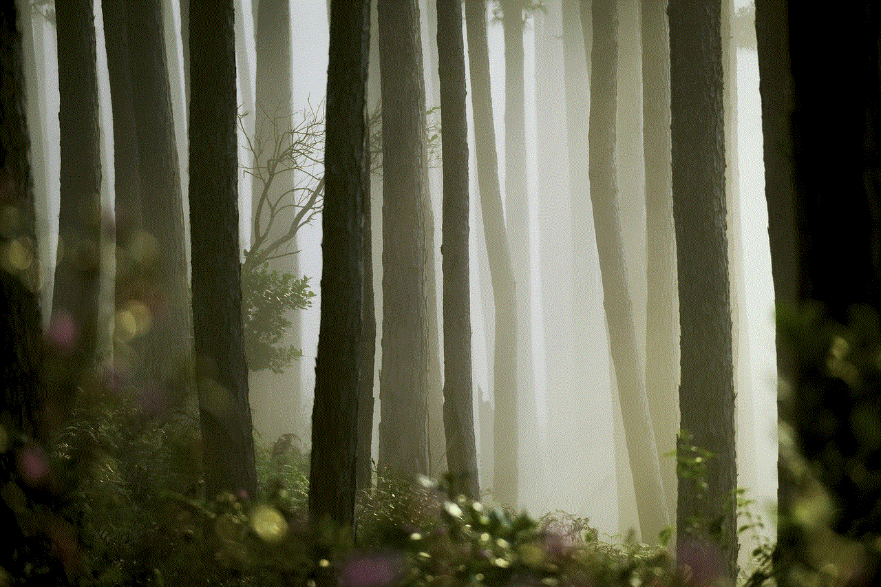 Pine Mist