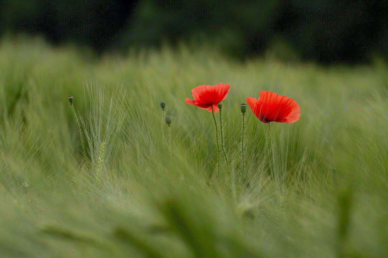 Flowers Flower Background