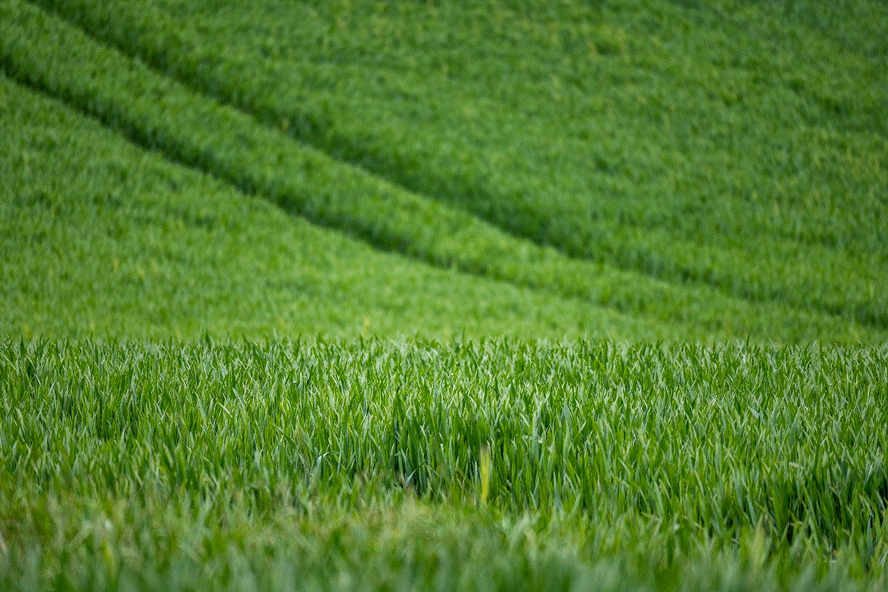 Wheat Agriculture