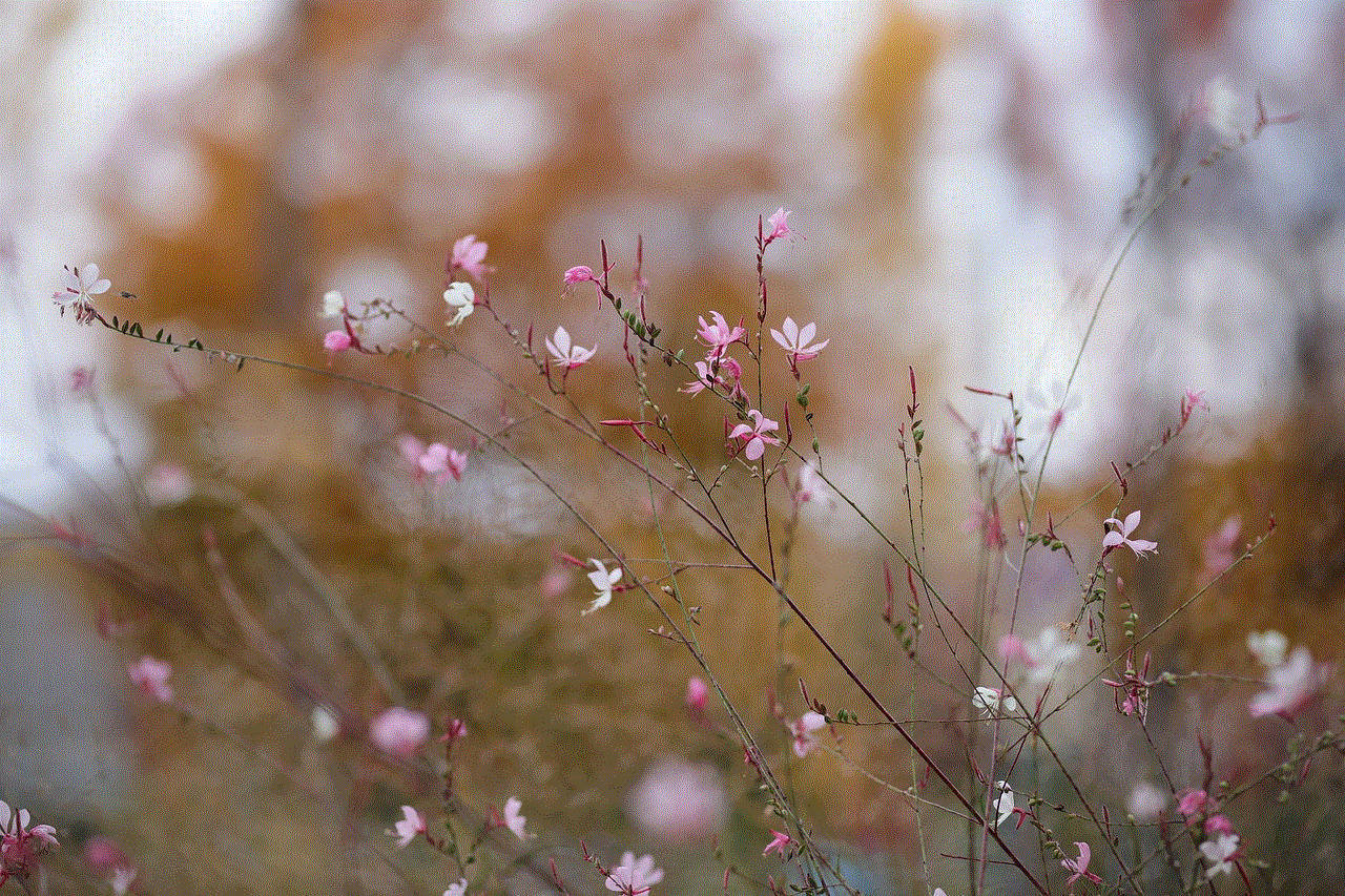 Flowers Wildflowers