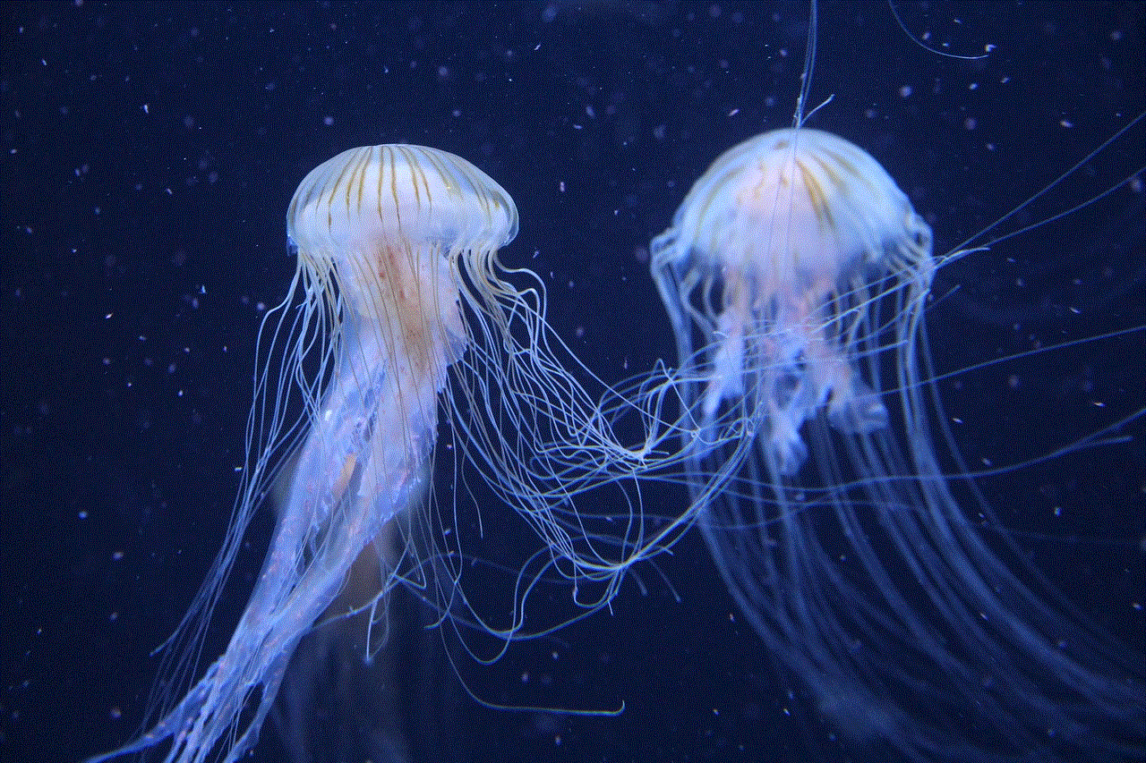 Jellyfish Animals