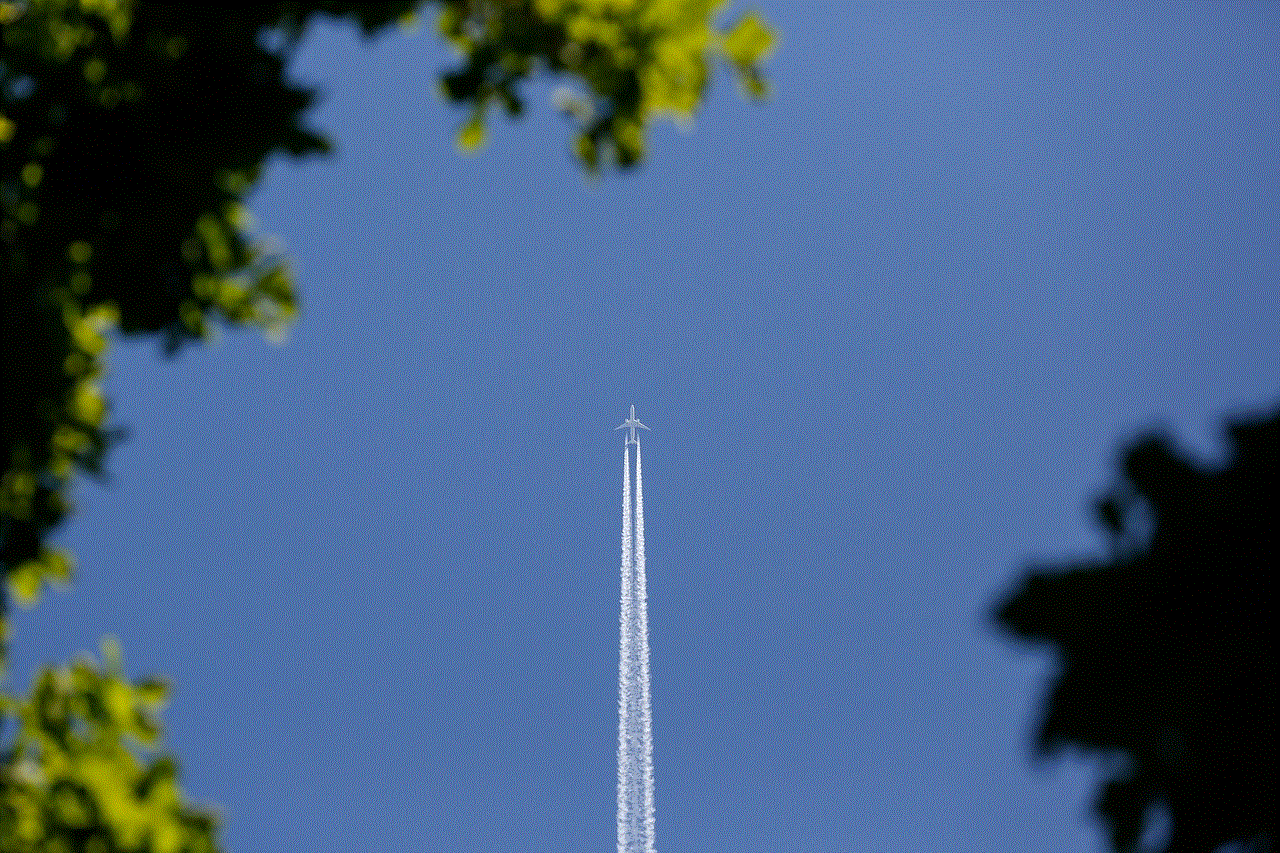 Plane Flying