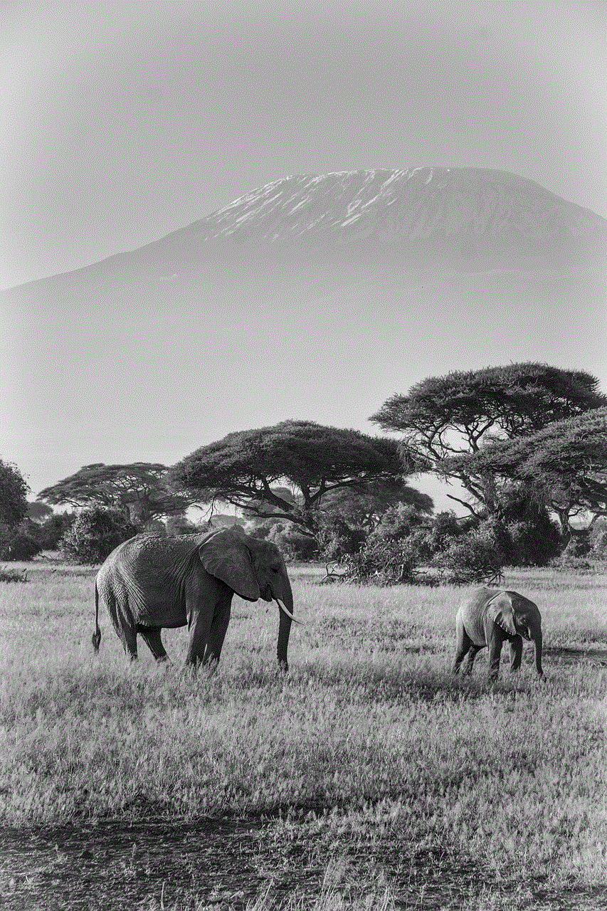 Elephants Africa
