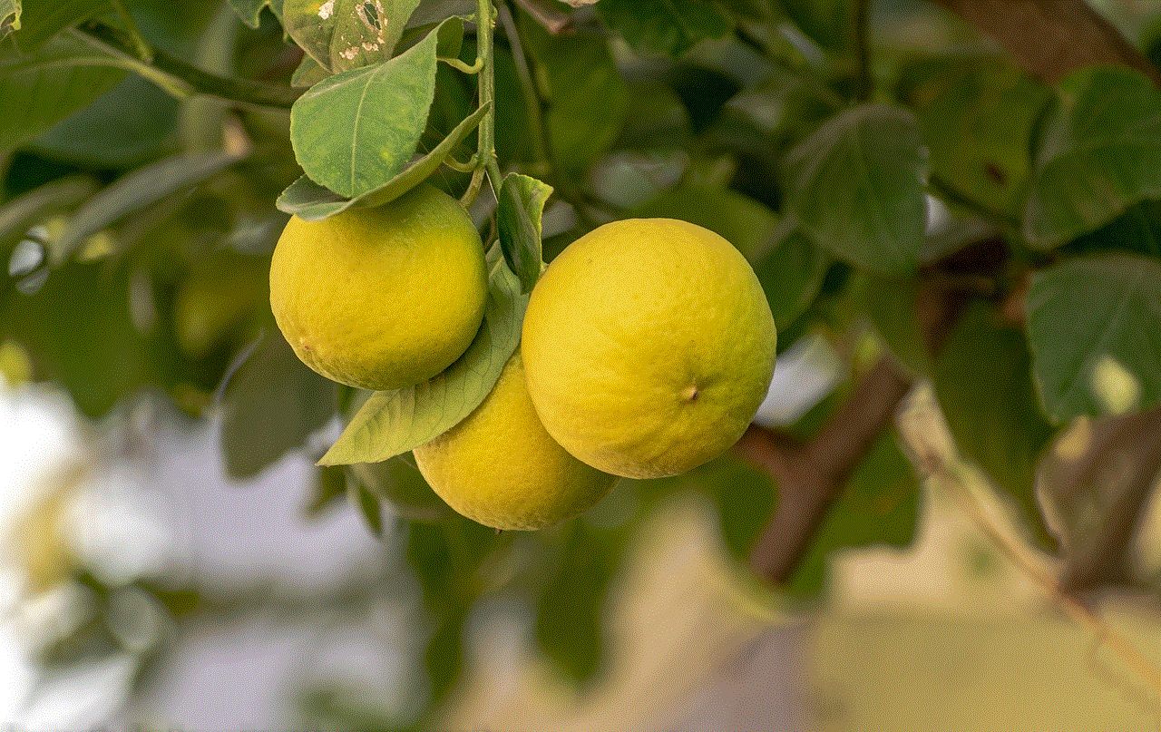 Lemon Fruits