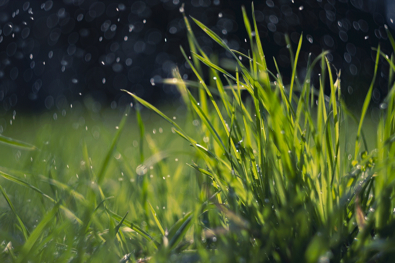 Spring Grass Spring Grass