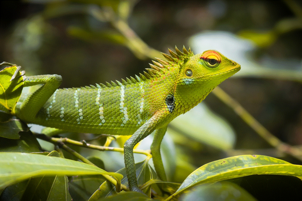 Green Lizard Reptile