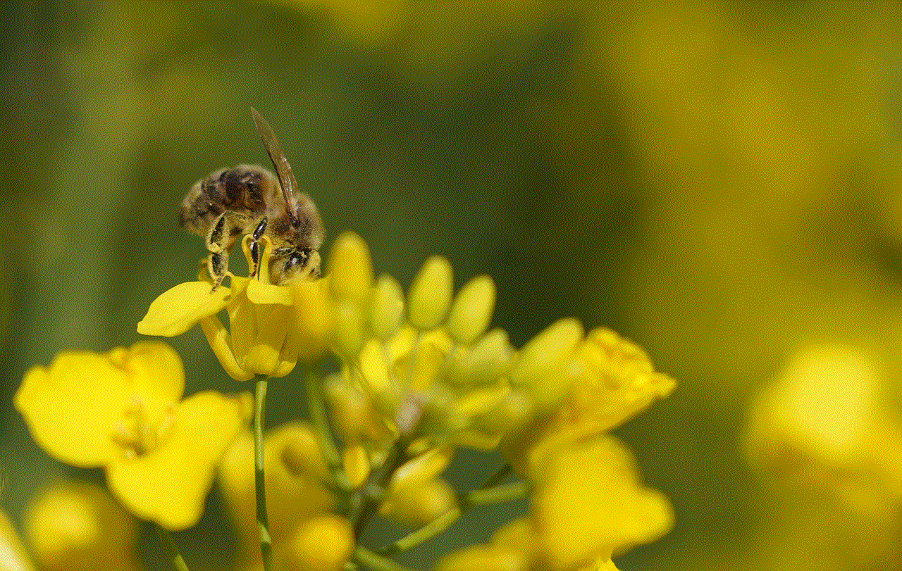 Bee Free Wallpaper Bee Free Wallpaper