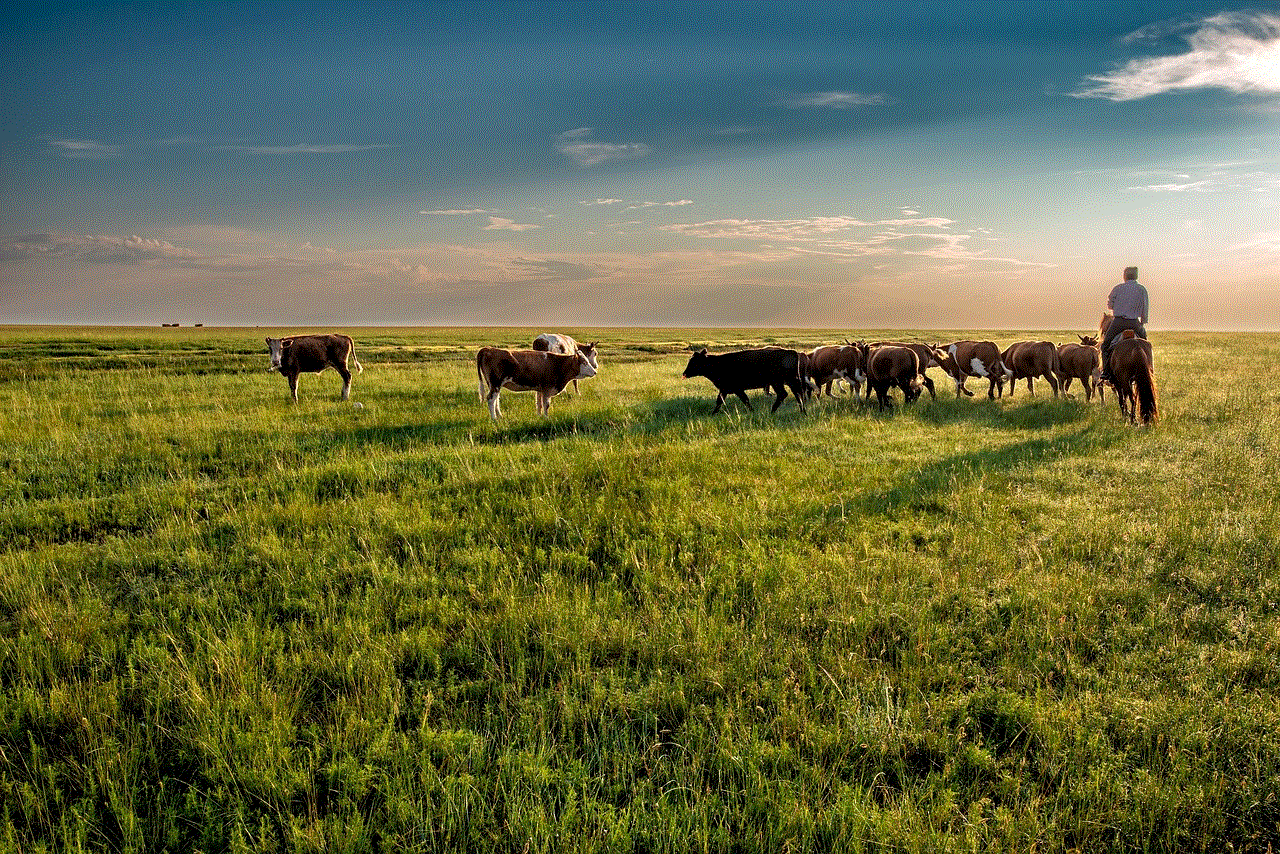 Cow Grassland
