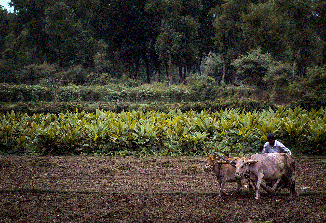 Agriculture Cultivation