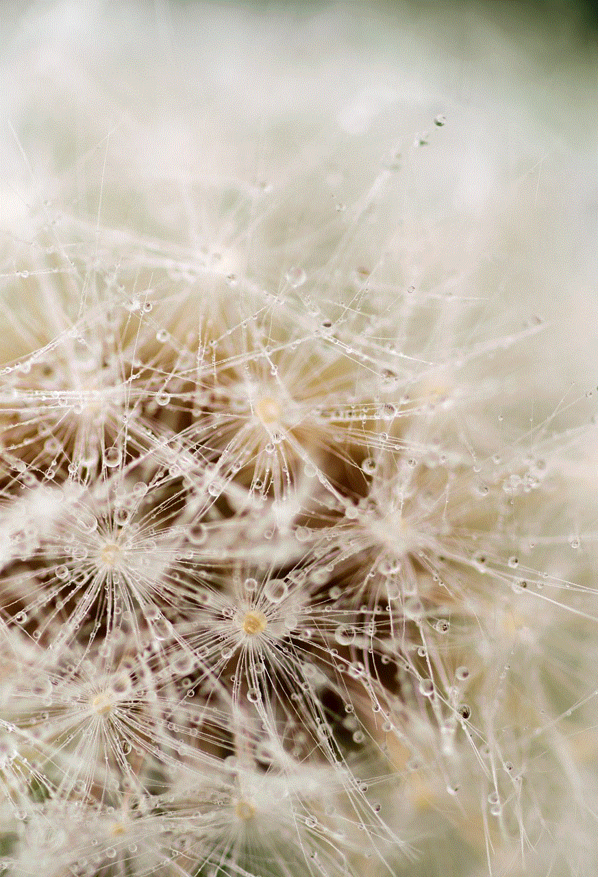 Dandelion Flower