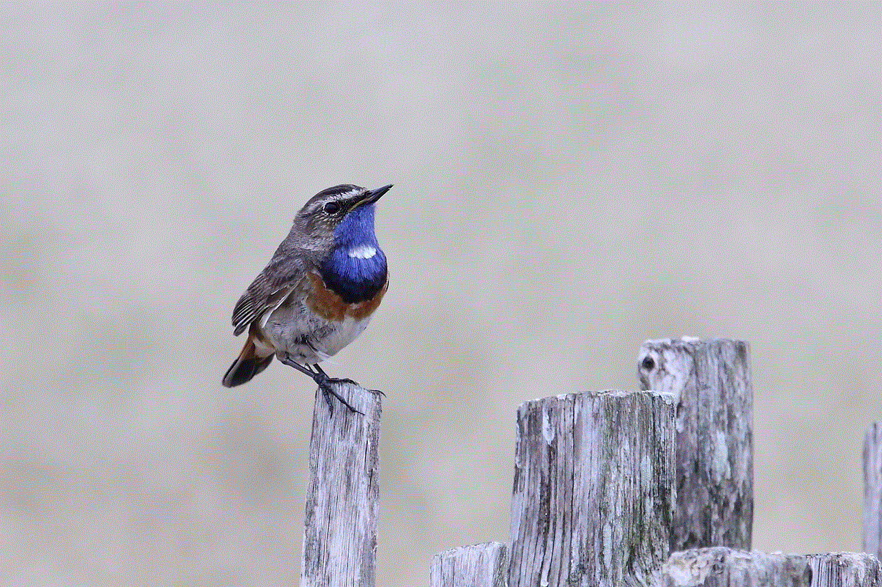 Blue Throat Bird