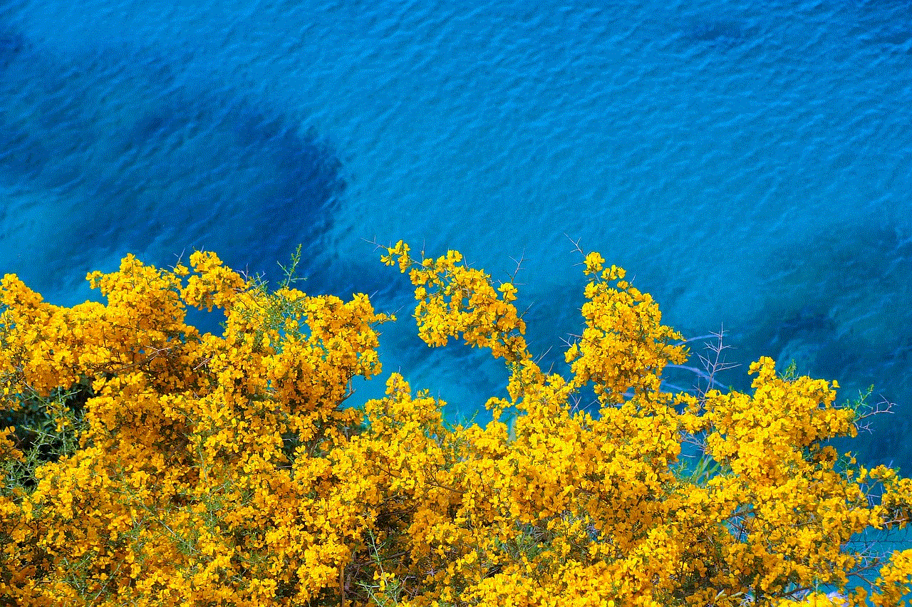 Flowers Coast