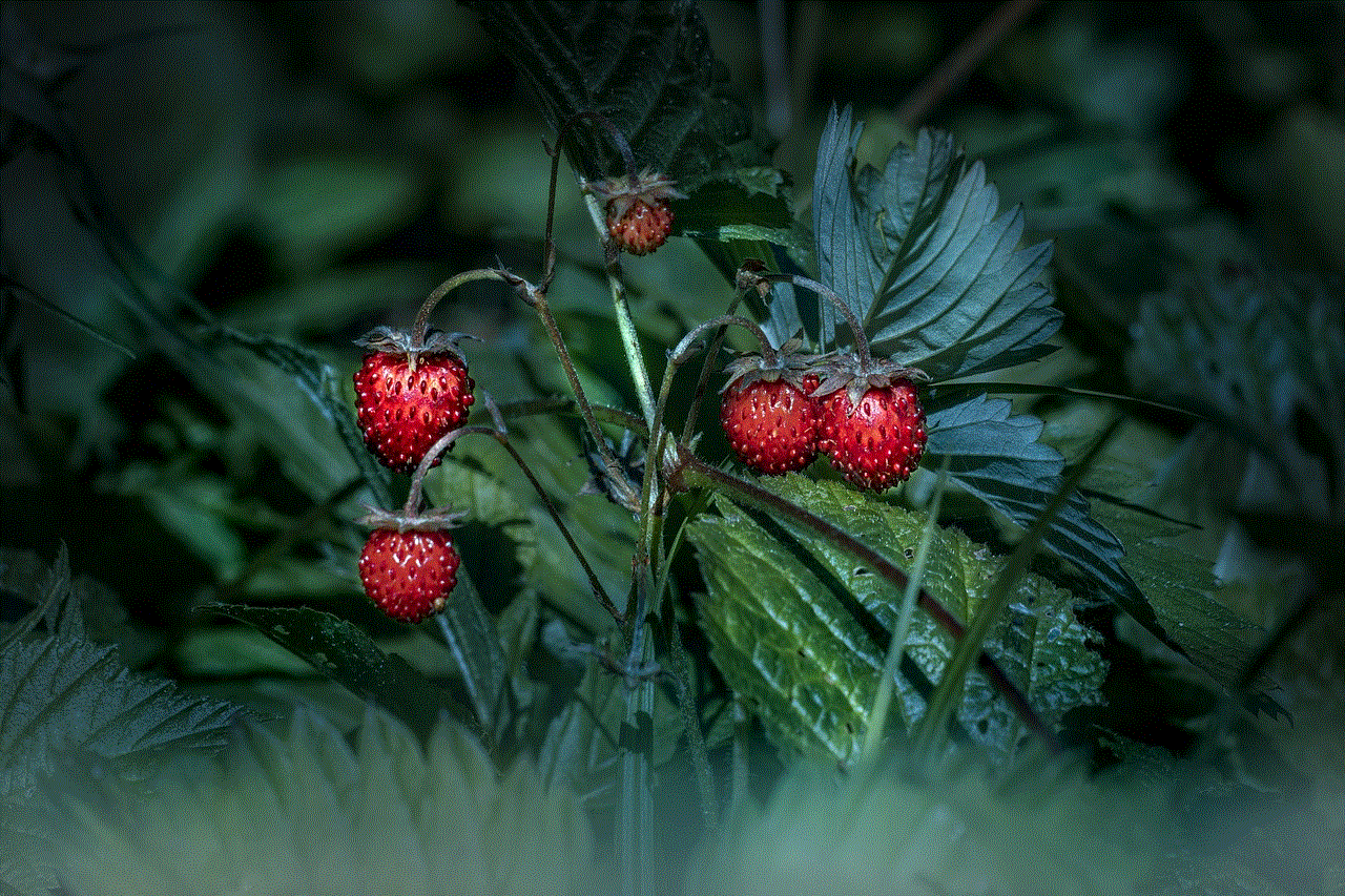 Strawberries Berries