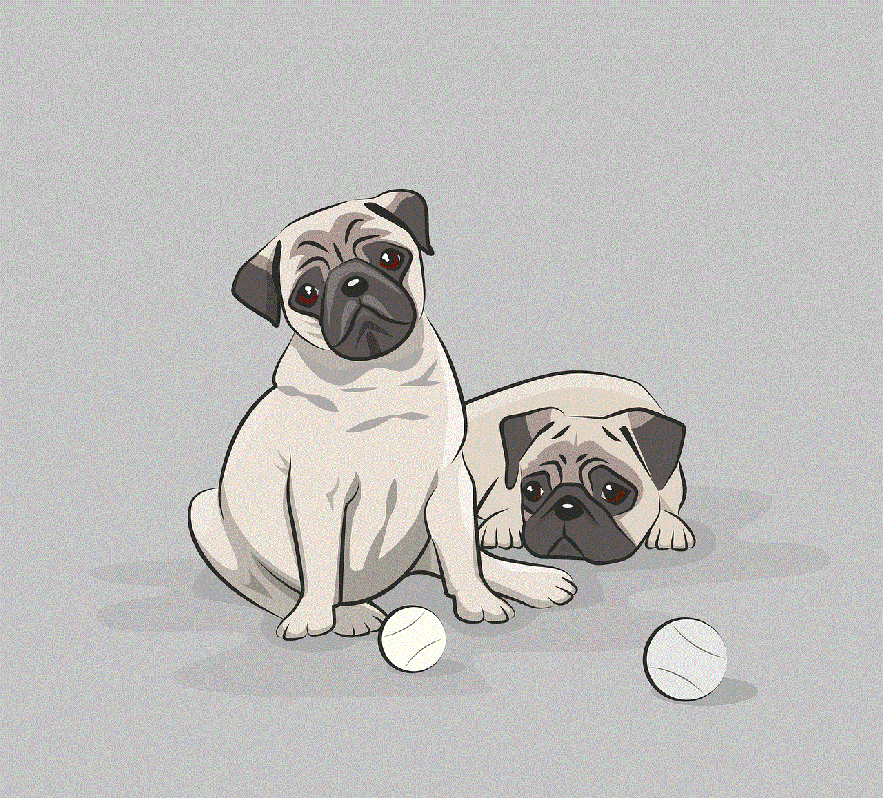 Pugs Dogs