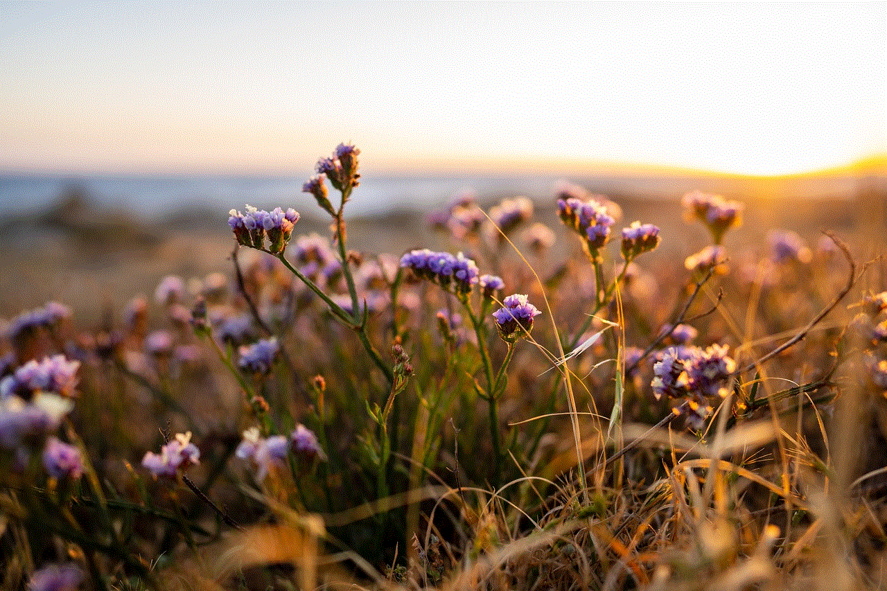 Flowers Plants