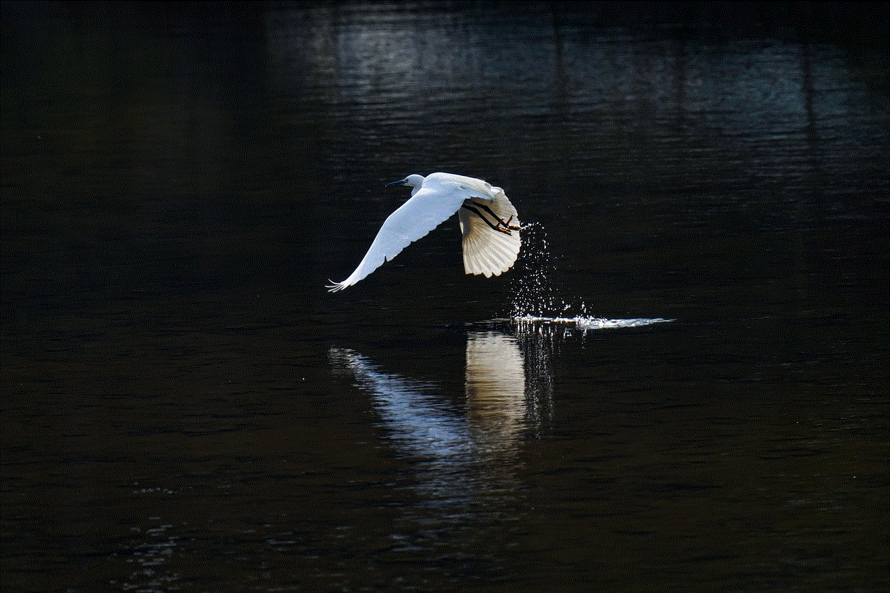 Bird Common Heron