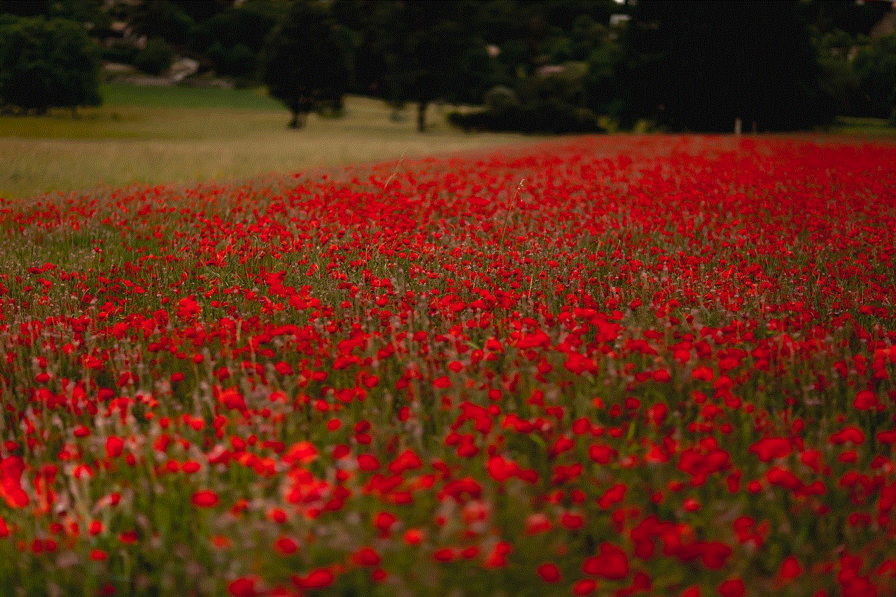 Nature Flowers Nature Flowers