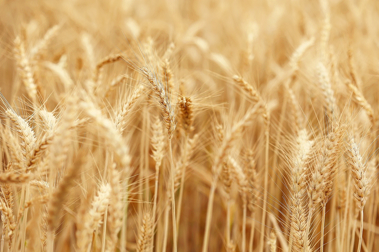 Wheat Field