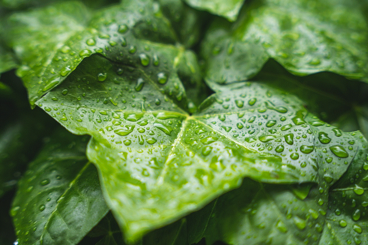 Plant Raindrop