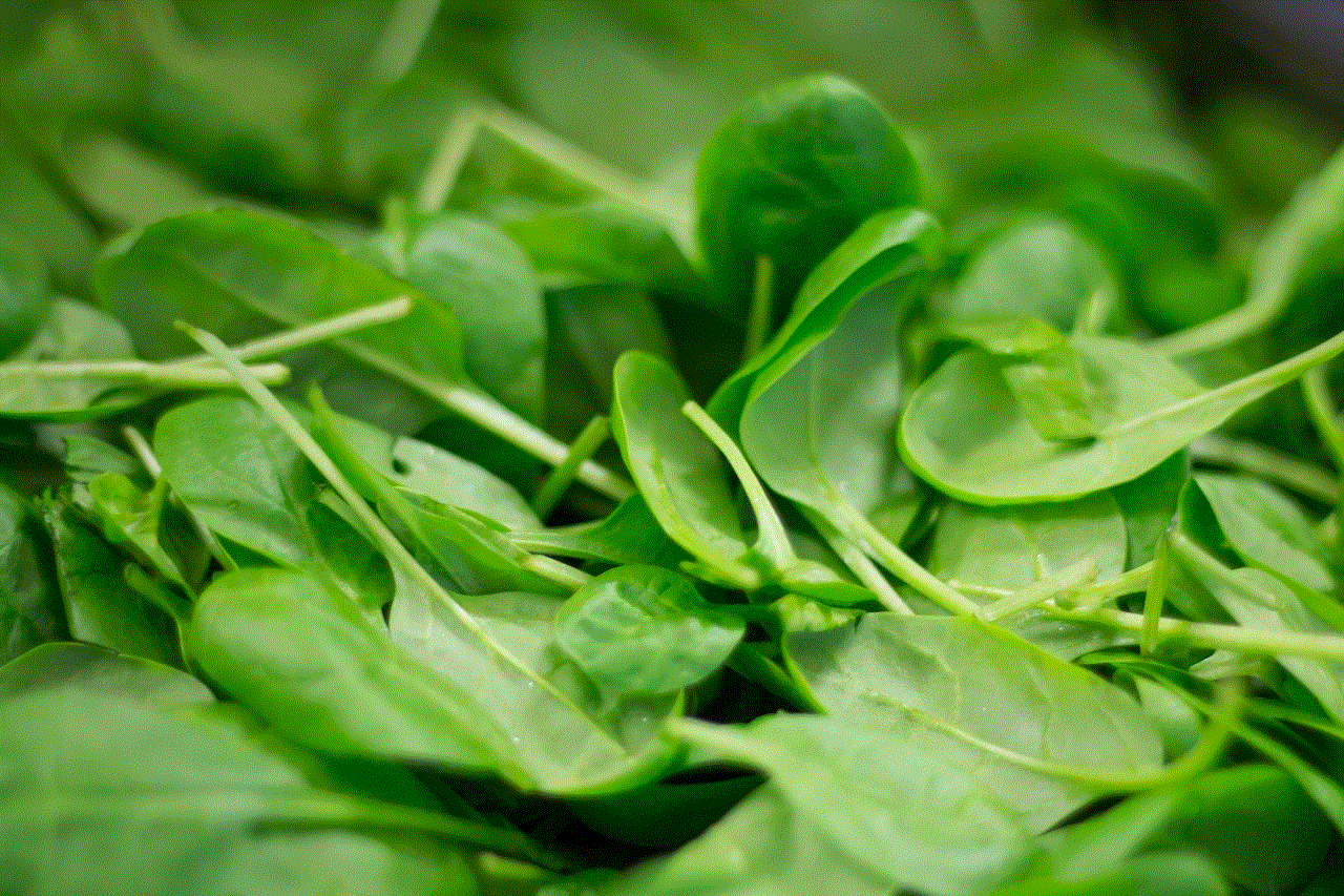 Spinach Plant