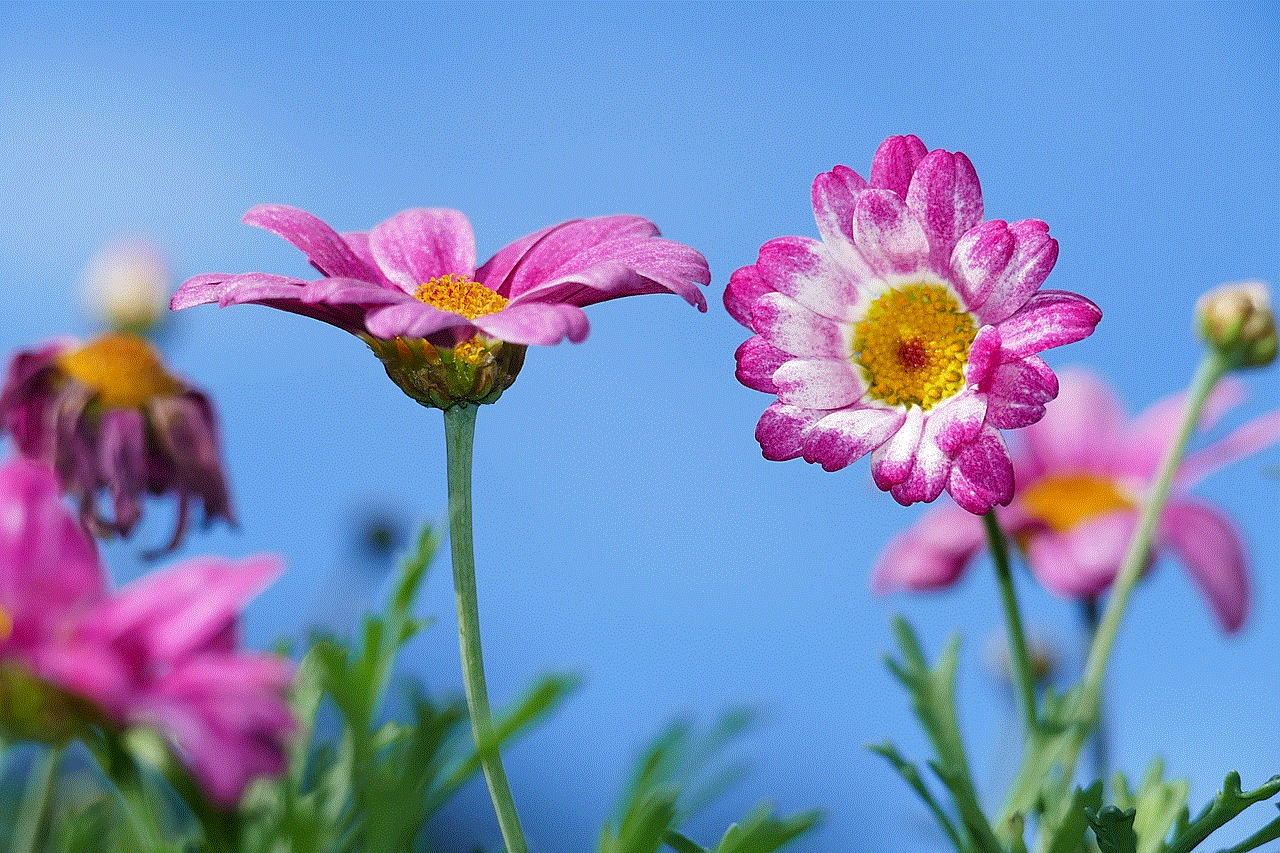 Nature Pink Flowers