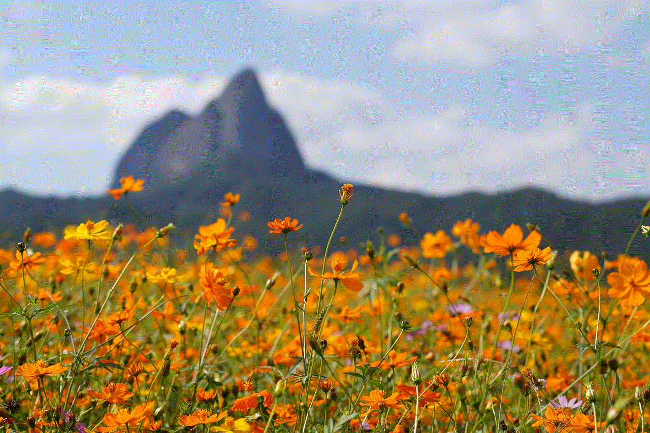 Maisan Provincial Park Wildflowers