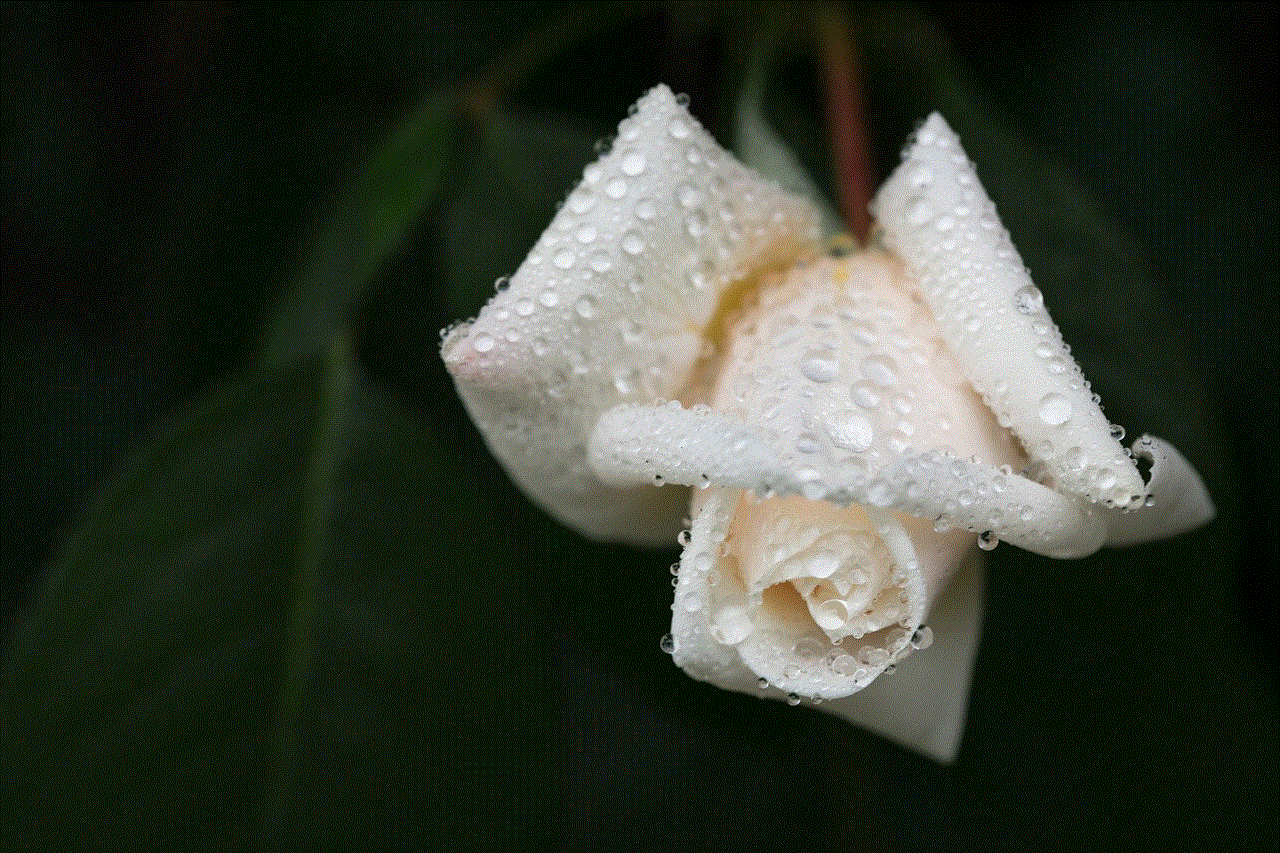 Grief White Rose Grief White Rose