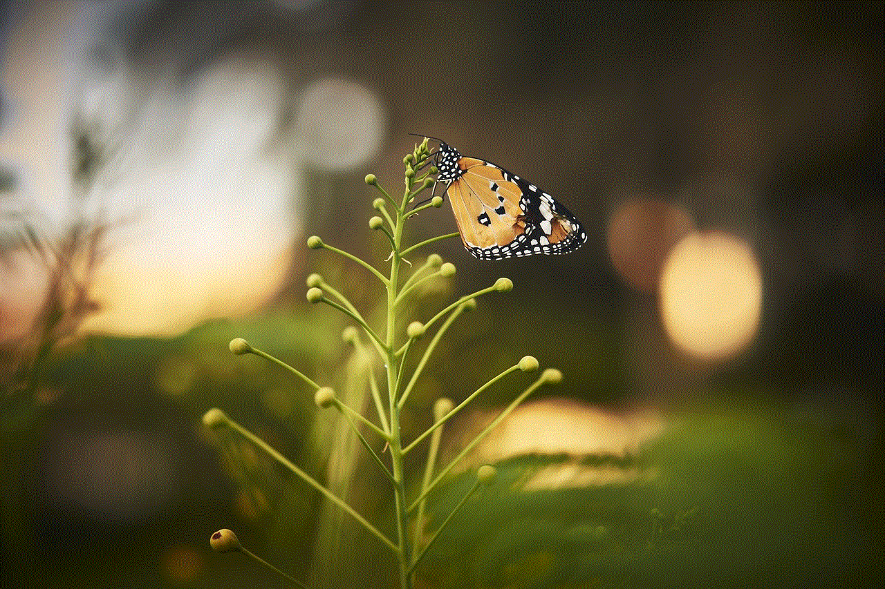 Butterfly Flower Background Butterfly Flower Background