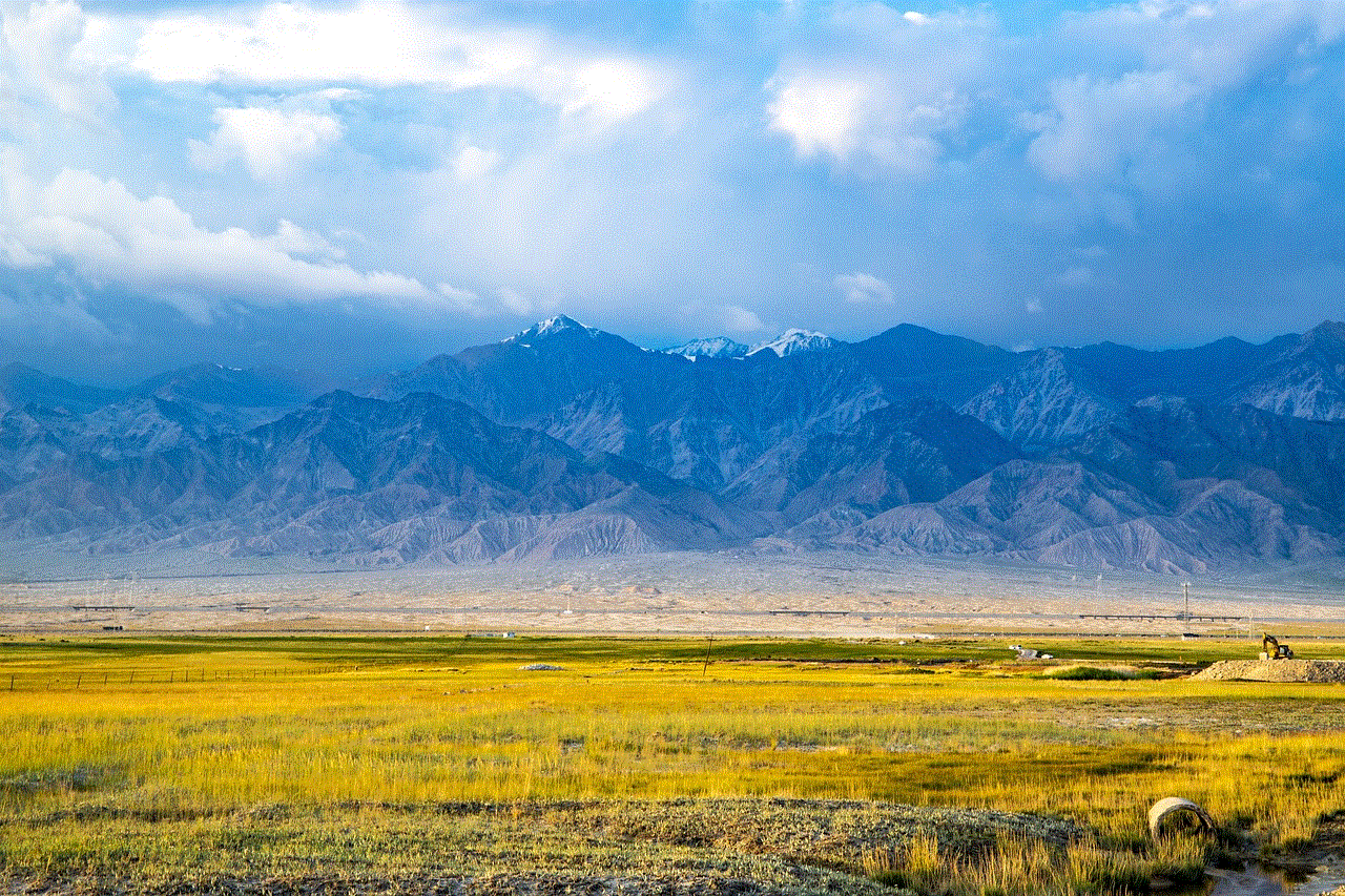 Mountain Field