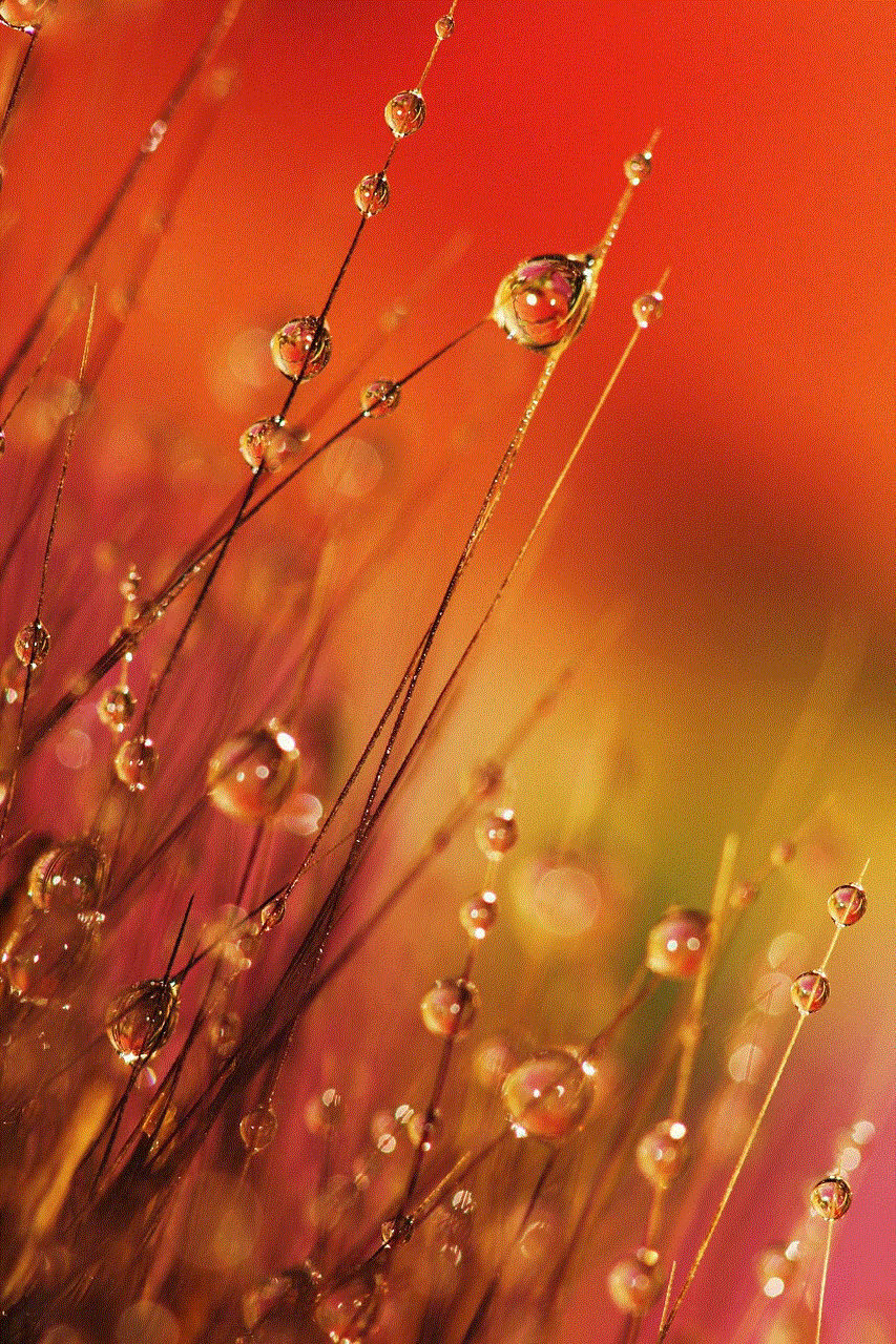 Dewdrops Grass