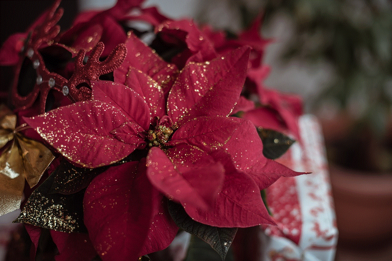 Poinsettia Glitters