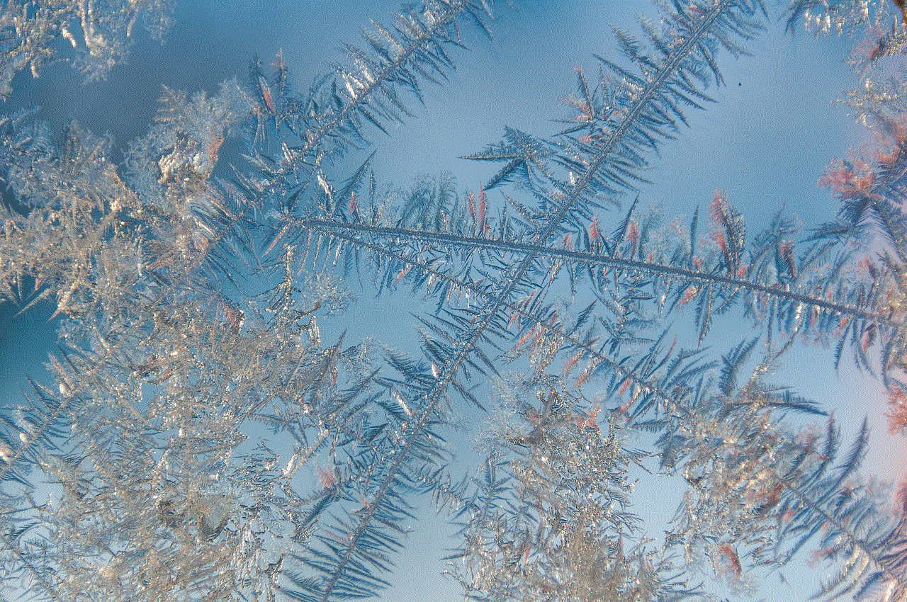 Winter Frost