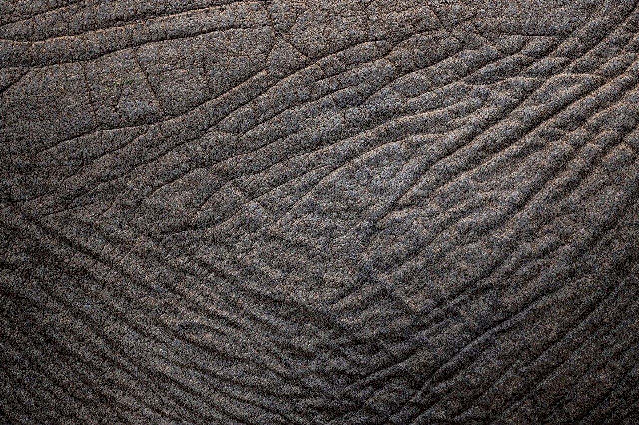 Elephant Skin