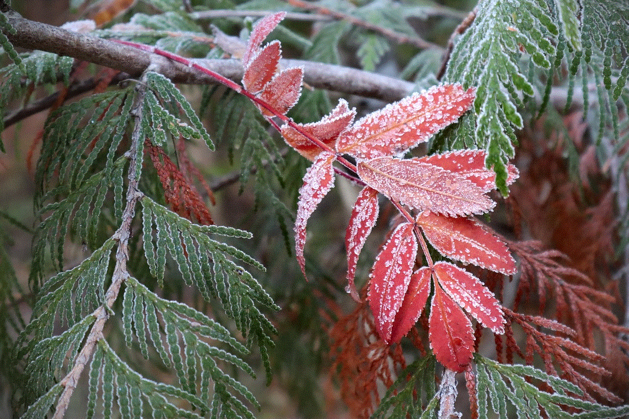 Frost Nature