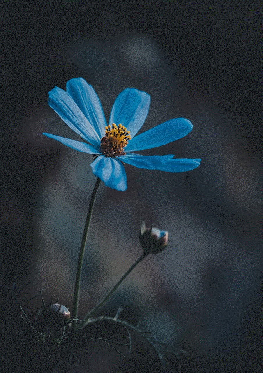 Blue Flower Wildflower