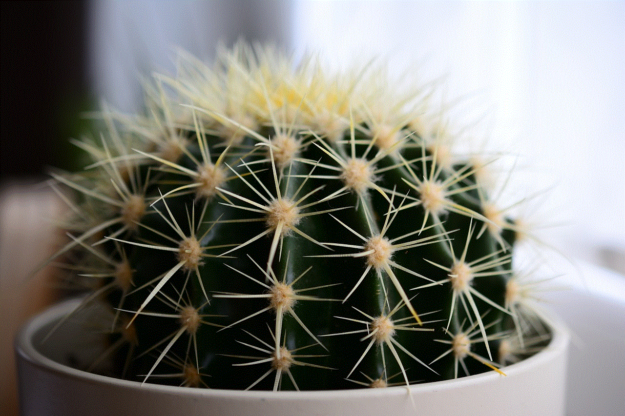 Cactus Plant