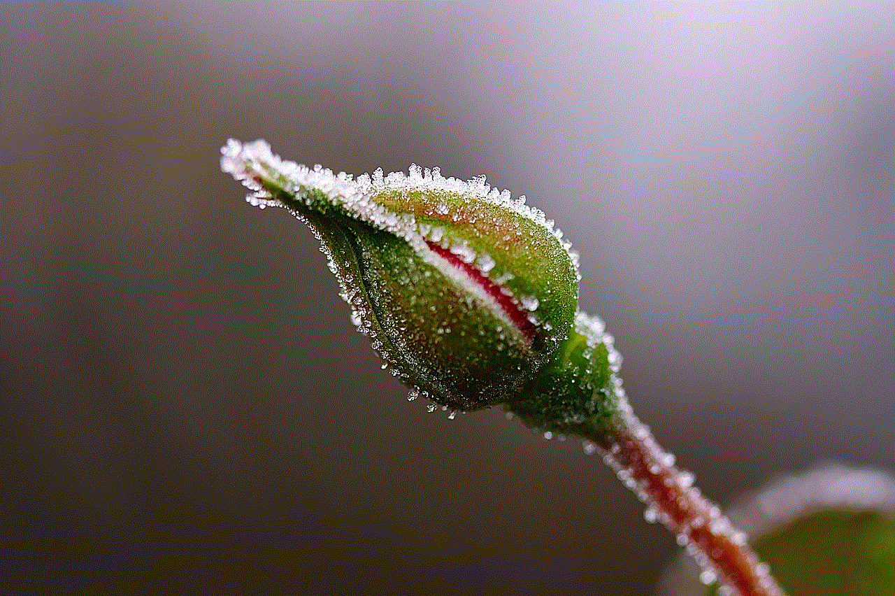 Bud Flower Background