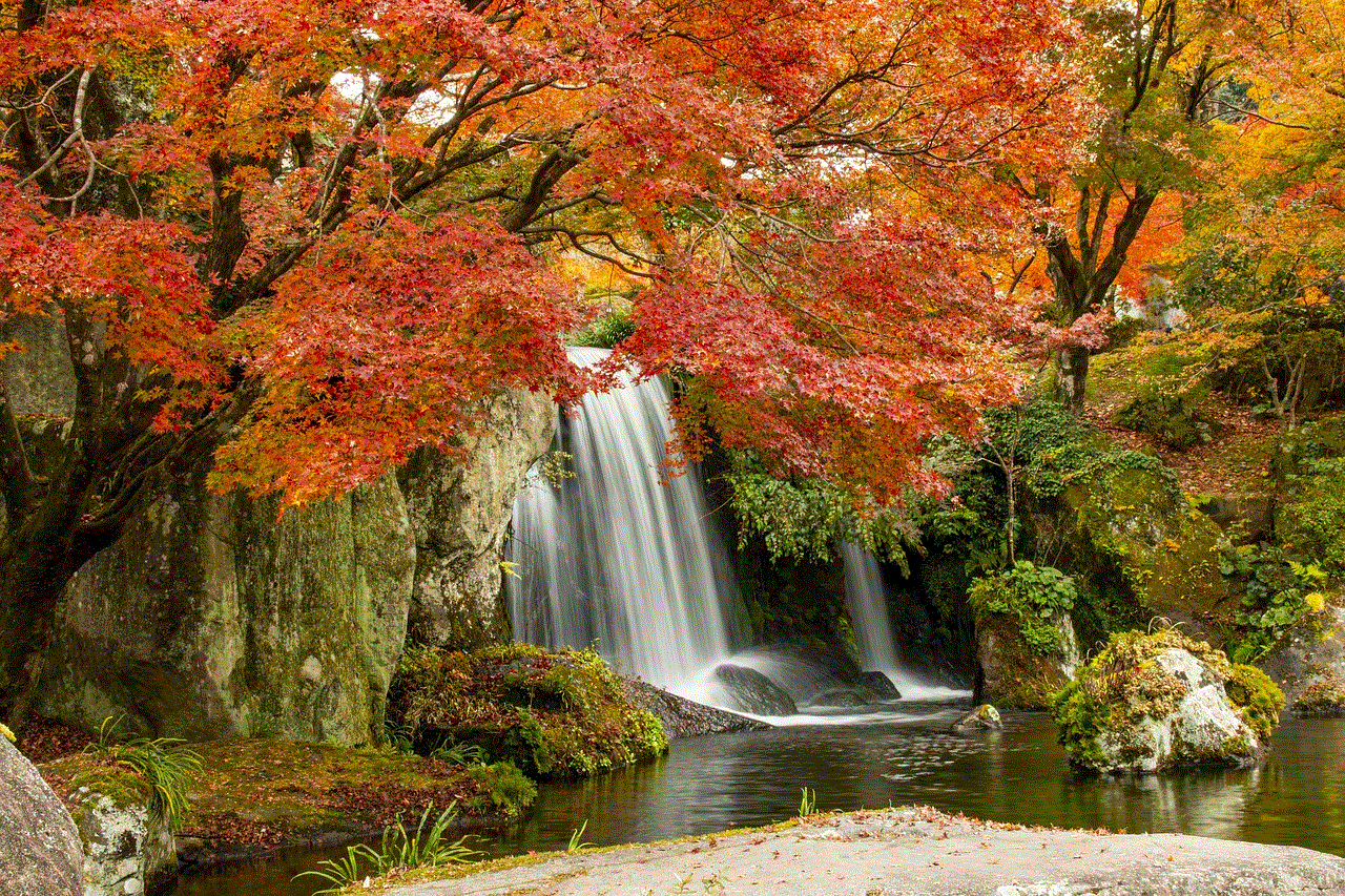 Waterfall Cascade