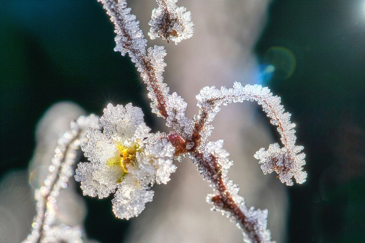 Ice Crystals Blossom