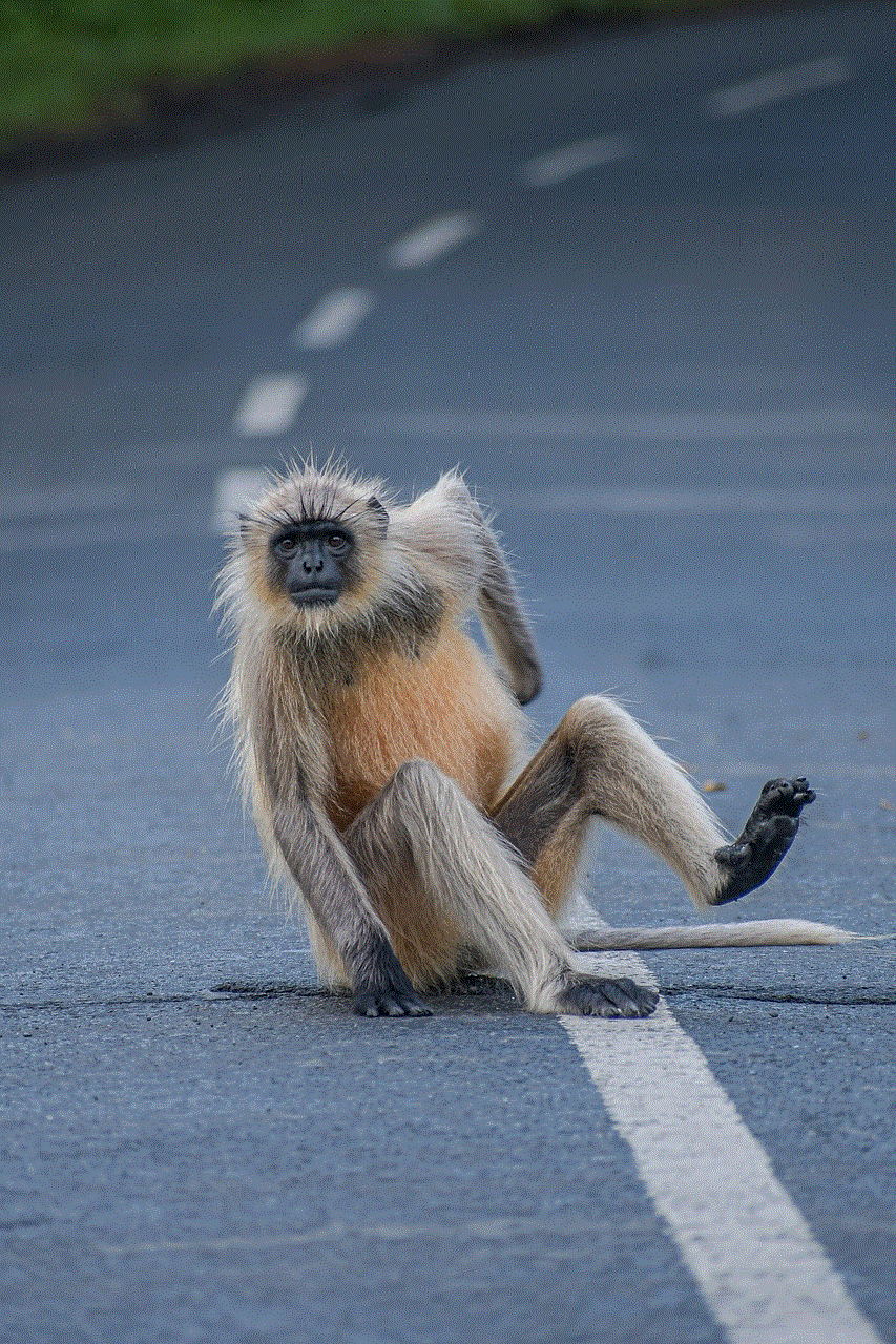 Monkey Road