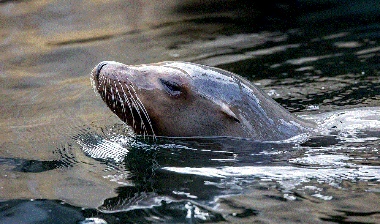 Sea Lion Seal