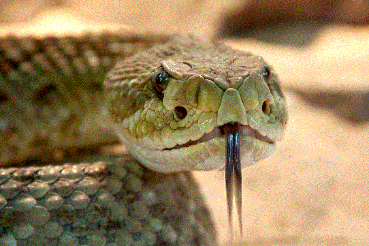 Speckled Rattlesnake Snake