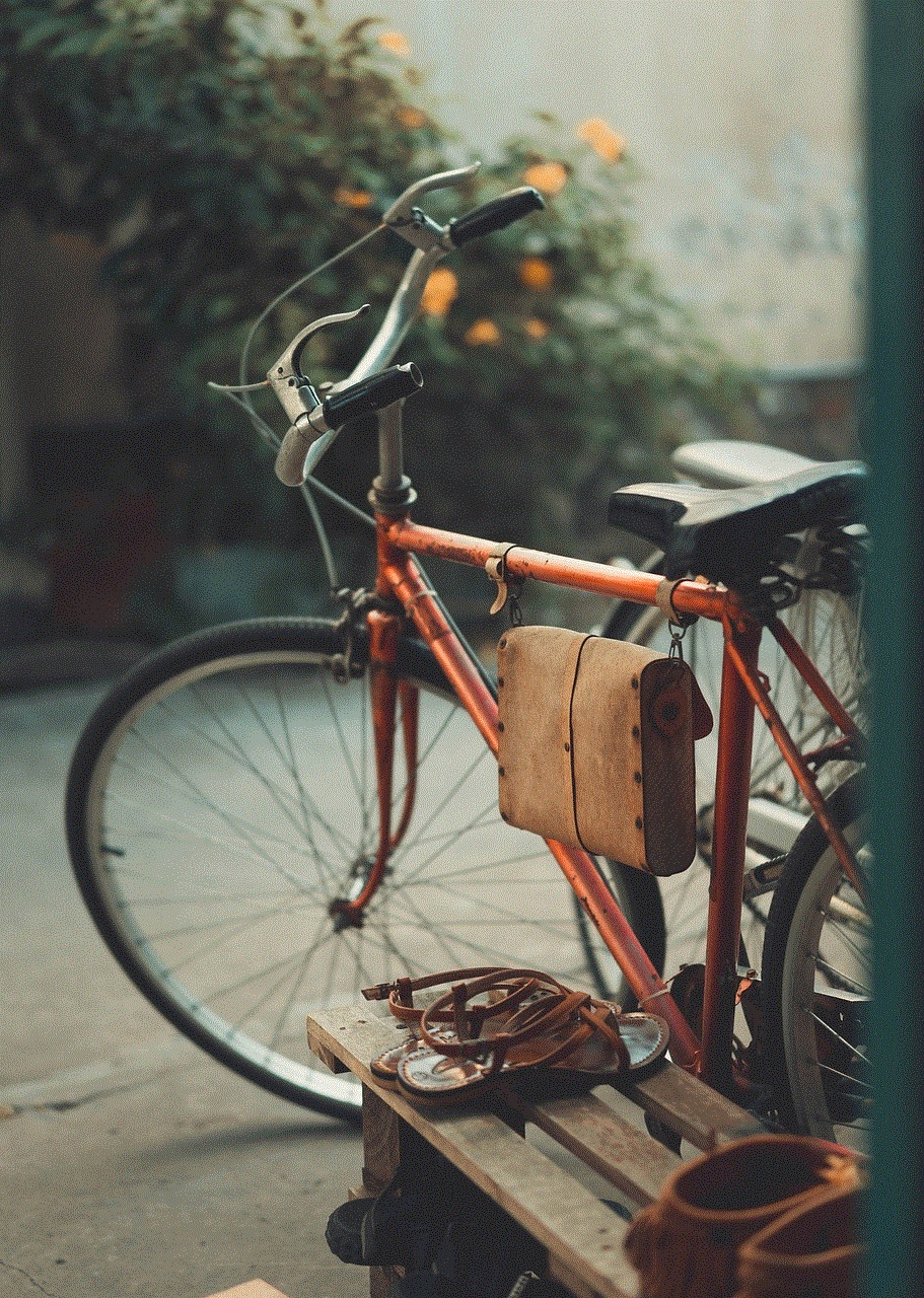 Vintage Photograph Bicycle