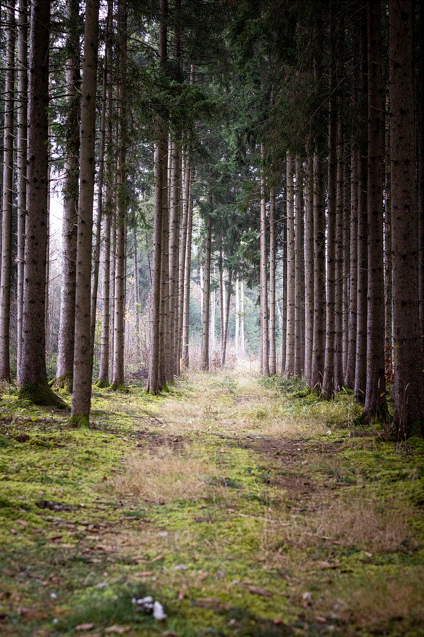 Tree Woods
