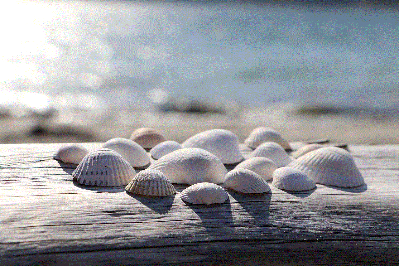 Shells Beach